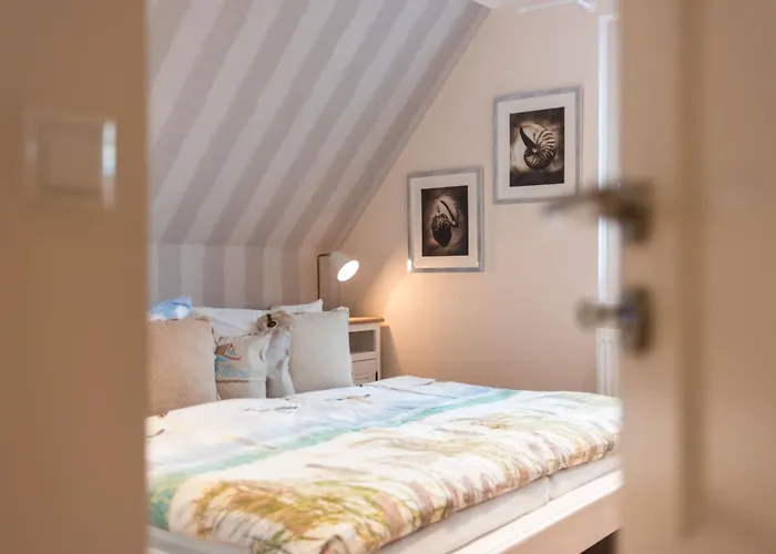 Bertis House Цингст